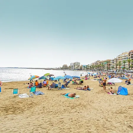 153 Alicante شقة