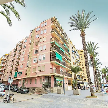153 Alicante Torrevieja