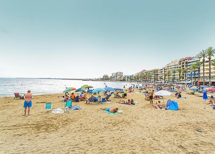 153 Alicante شقة